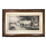 Edwin Douglas Jersey Beauties Engraving 1885