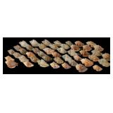 Assortment of Gastropod Shells