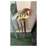 Walking sticks