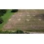 Estate LIVE Auction - 115 Acres in 12 Tracts - Portland
