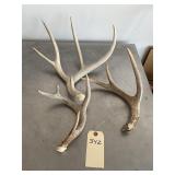 Antlers