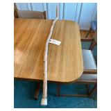 Walking Stick