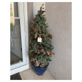 Christmas tree in blue planter