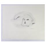 Lazy White Cat Print By Tom Shoemaker