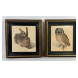 Owl & Hare Rabbit Prints By Albrecht Dï¿½rer