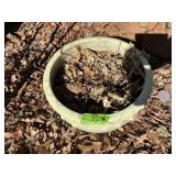CERAMIC PLANTER 18'