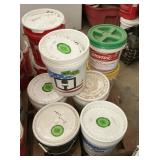 PREPPER FOOD LOT- 1CORN, 2POTATO, 3WHEAT, 1BEAN