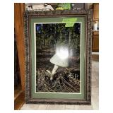 MUSHROOM PICTURES 42" X 30"