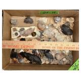 ROCKS ï¿½ POLISHED & NATURAL