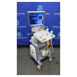 GE Logiq P5 Ultrasound System w/ (2) Transducers