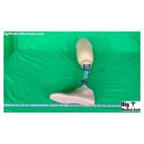 Prosthetic Leg Prosthetic Leg