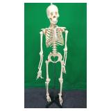 Model Skeleton Model Skeleton