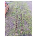 2X BID 11ft and 8ft Chains with Hooks