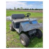 Gas Golf Cart With Utility Bed