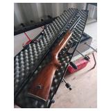 Wood-Stock Pellet Gun with Case