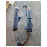 Compound Bow Set with Arrows