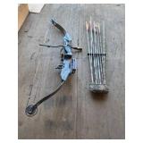 Compound Bow With Arrows Set