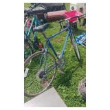 Pinnacle 12 Speed Road Bicycle
