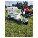 New Mini Golf Cart MGC40 Electric 2-Seater