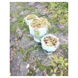 3X BID Light Blue Ceramic Planters
