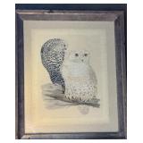 Birds of Edward Lear? Snowy Owl Large Framed Print