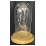 Vintage Glass Dome on Walnut Base
