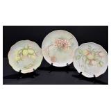 Vintage Porcelain Hand Painted Decorative Plates