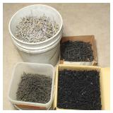 Bucket of Nails, 3-Containers of Black Screws