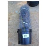 Wire Fencing - 36' tall