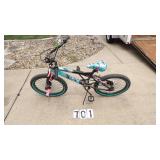 Tempest Pro 20 Series Bicycle 20"