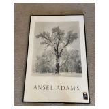 Ansel Adams Picture