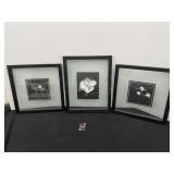 Framed Pictures on Glass