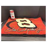 Dale Earnheart Jr. rug, 24oz Budweiser Beer can ..