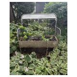 Antique bed made into a flower bed 54"W x 245"D...