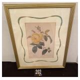 Framed Rose Picture