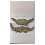 Buffalo horns