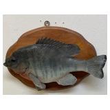 Taxidermy fish