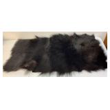 Real Tanned bearskin rug 45' x 22'