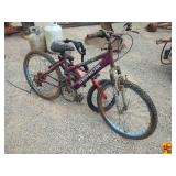 Roadmaster Girl's Bicycle & Kid's Huffy  Bicycle