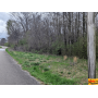 Estate Auction:  5± Wooded Acres In North Madison County