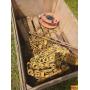 Barnyard Treasures: A Collector’s Auction of Old Iron & Farm Relics