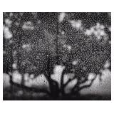 Ruth Bernhard Ruth Bernhard