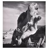 Ansel Adams Ansel Adams