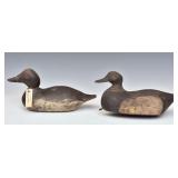 Pair Of Duck Decoys Pair Of Duck Decoys
