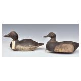 Pair Of Duck Decoys