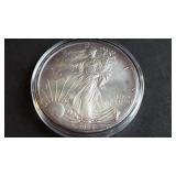 2009 American Silver Eagle