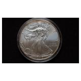 2010 American Silver Eagle
