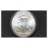 2013 American Silver Eagle