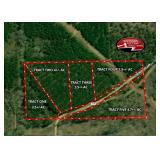 Auction 19+/- Acres Randolph County AL 