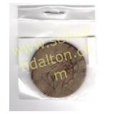 Morgan Silver Dollar date unknown